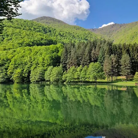 Toki Balkana Mrkonjic Grad