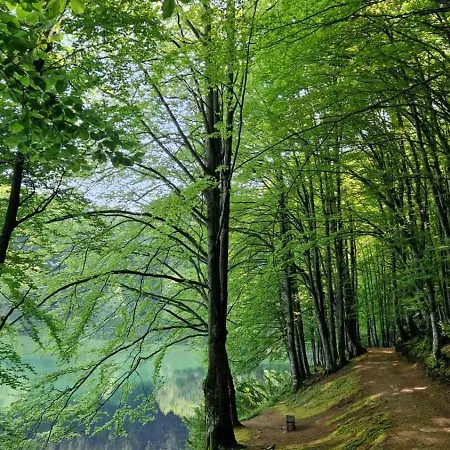 Toki Balkana Apartmán Mrkonjic Grad